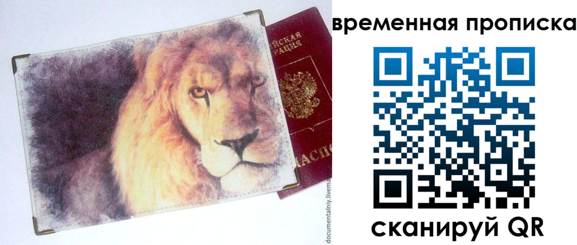 временная регистрация для школы в Кудрово